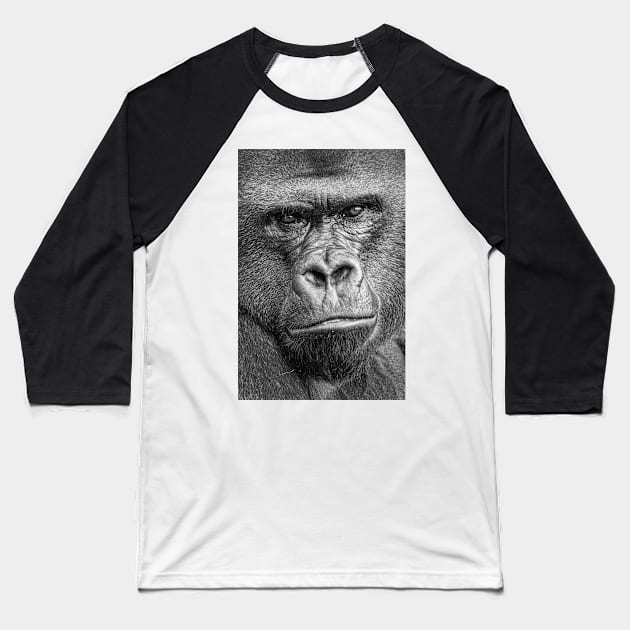 Western Lowland Gorilla Close Up B&W Baseball T-Shirt by jforno